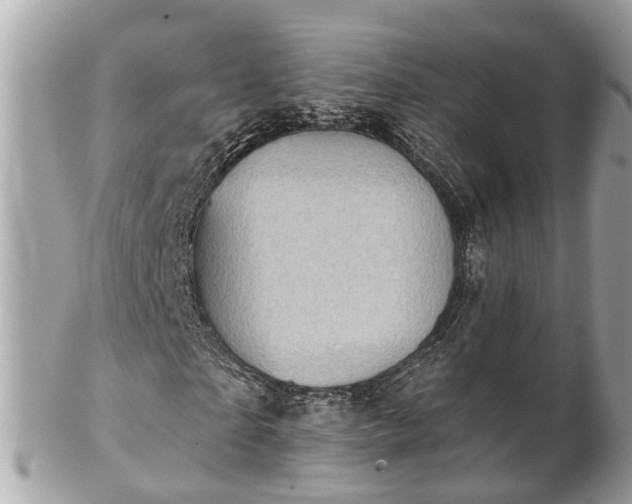 X0000102500865200808151518