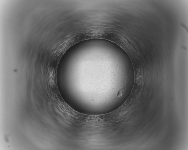 X0000102500866200808151518