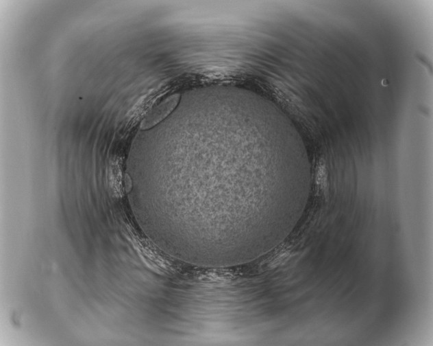 X0000102500868200808151518