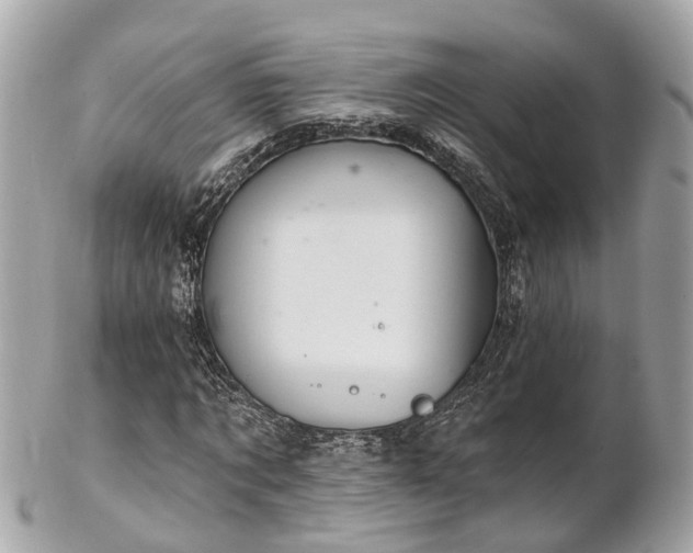 X0000102500869200808151518