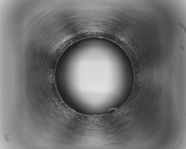 X0000102500870200808151518