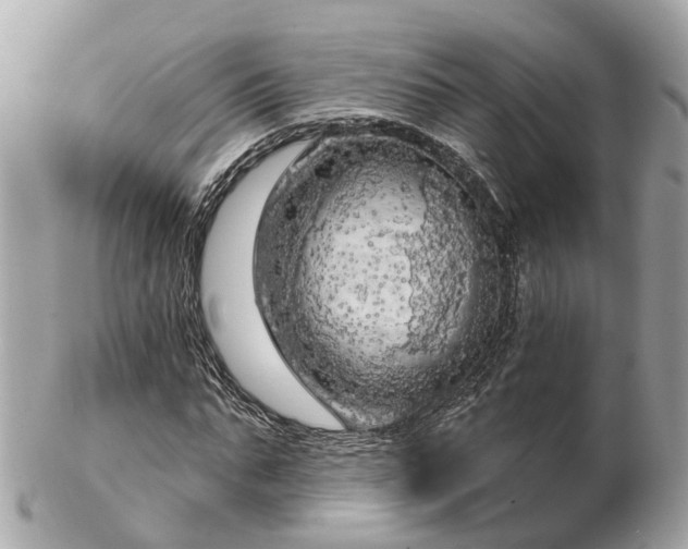 X0000102500871200808151518