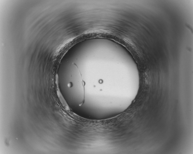 X0000102500872200808151518