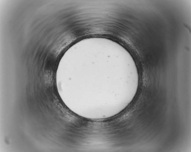 X0000102500873200808151518