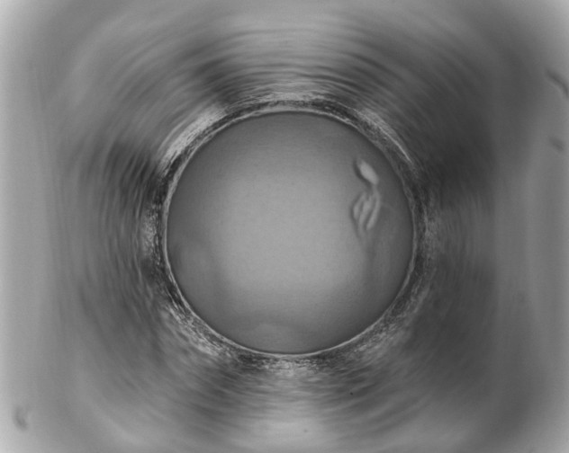 X0000102500874200808151518