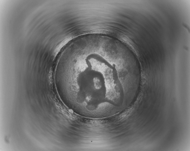 X0000102500875200808151518