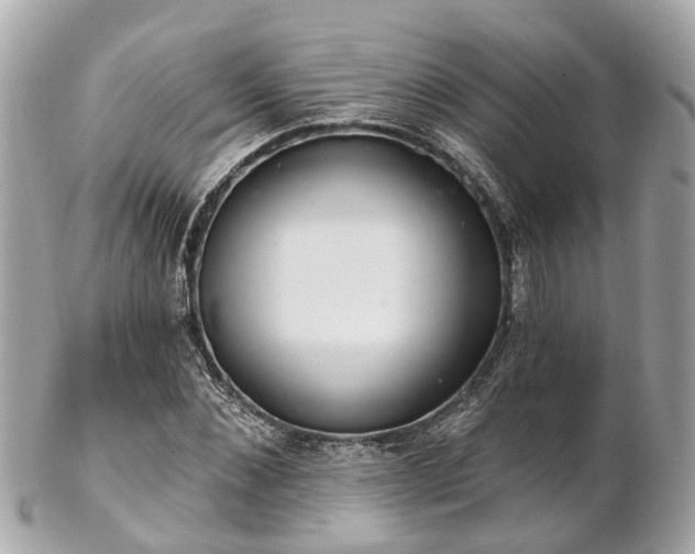 X0000102500876200808151518