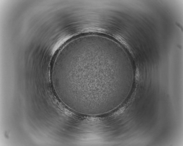 X0000102500877200808151518