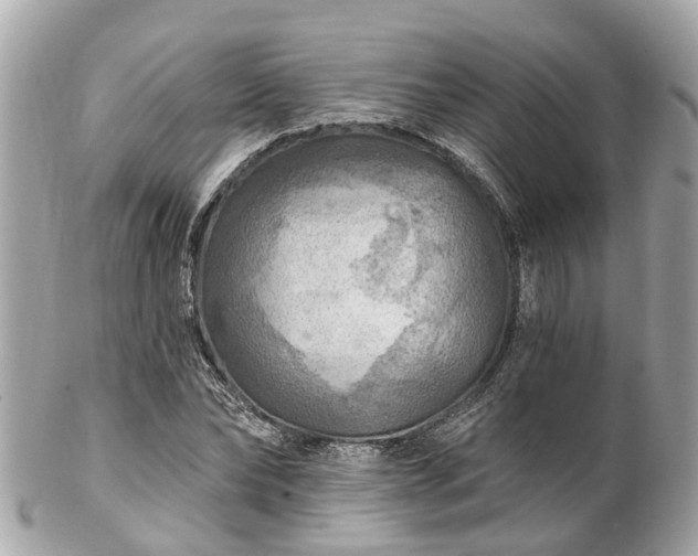 X0000102500878200808151518