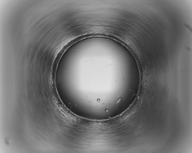 X0000102500880200808151518