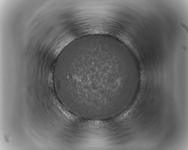 X0000102500881200808151518