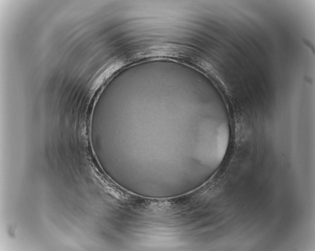 X0000102500882200808151518