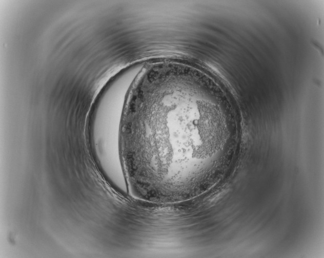 X0000102500883200808151518