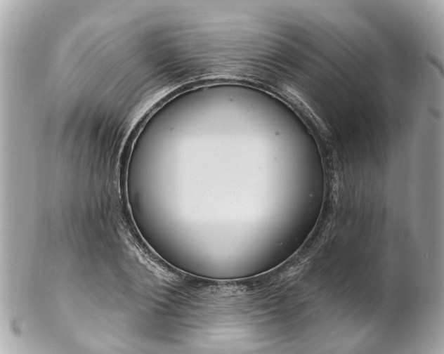 X0000102500884200808151518