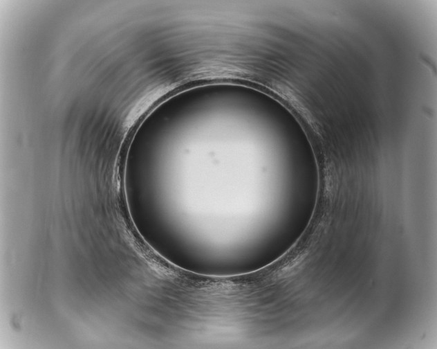 X0000102500885200808151518