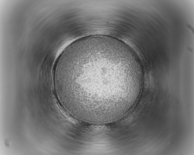 X0000102500886200808151518