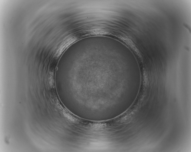 X0000102500889200808151518