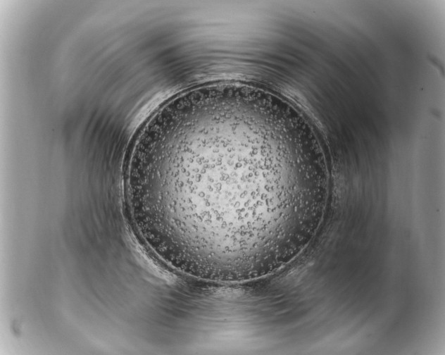 X0000102500890200808151518