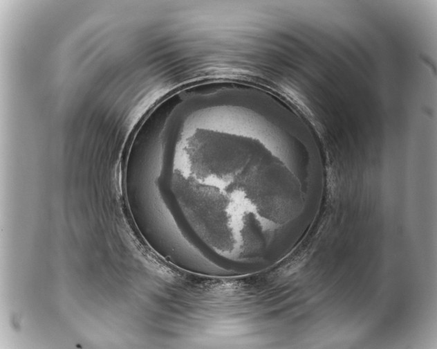 X0000102500891200808151518