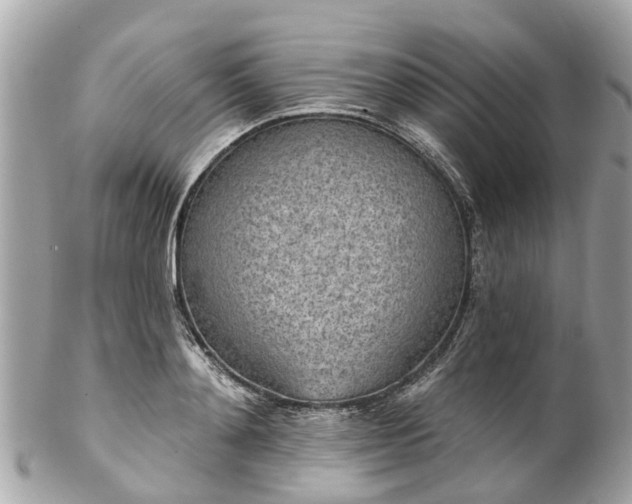 X0000102500892200808151518