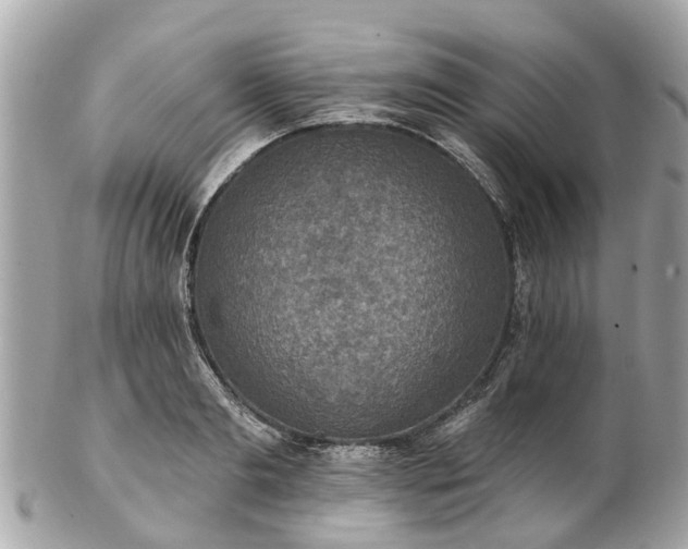 X0000102500893200808151518