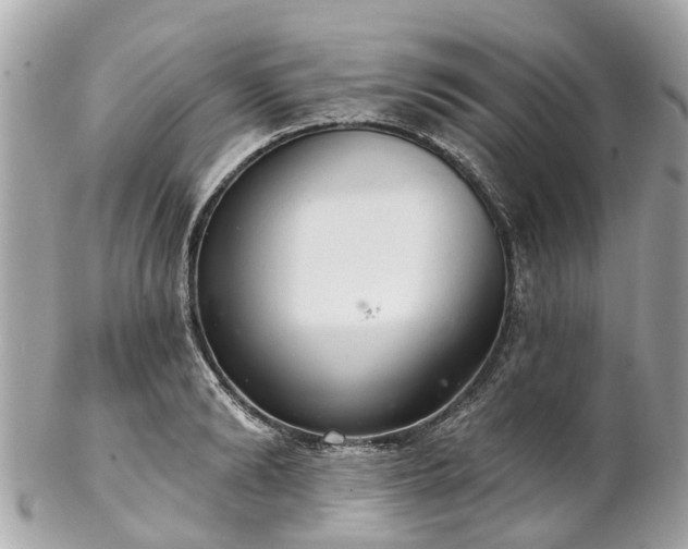 X0000102500894200808151518