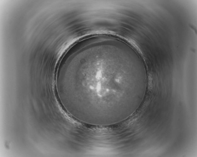 X0000102500895200808151518