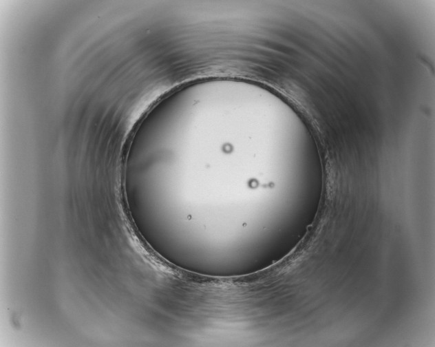 X0000102500896200808151517