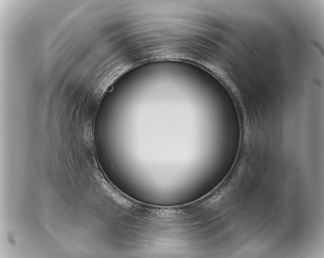 X0000102500897200808151517