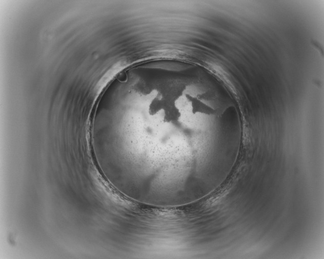 X0000102500899200808151517