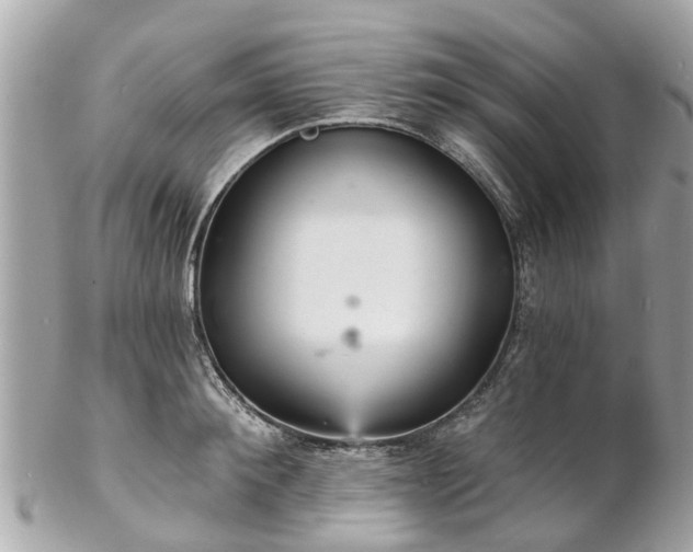 X0000102500900200808151517