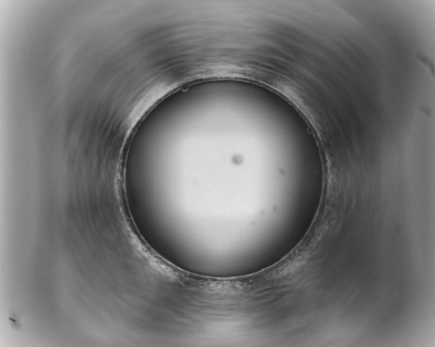 X0000102500901200808151517