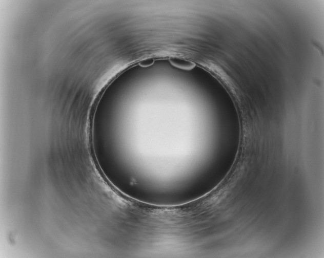 X0000102500902200808151517