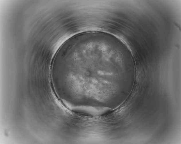 X0000102500903200808151517