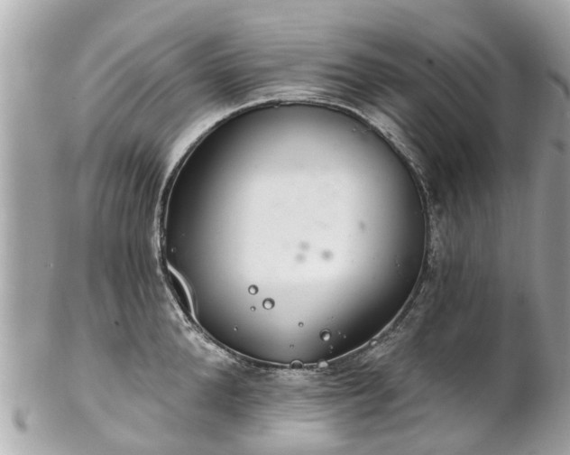 X0000102500904200808151517