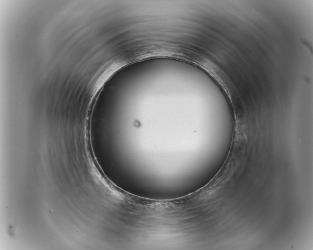 X0000102500906200808151517