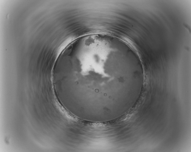 X0000102500907200808151517