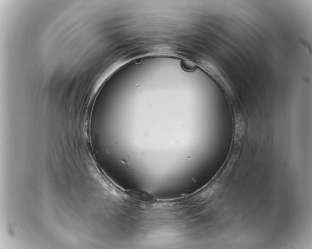 X0000102500908200808151517