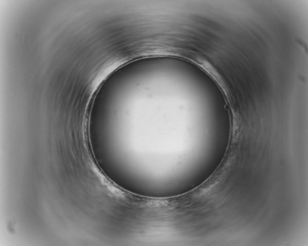 X0000102500909200808151517