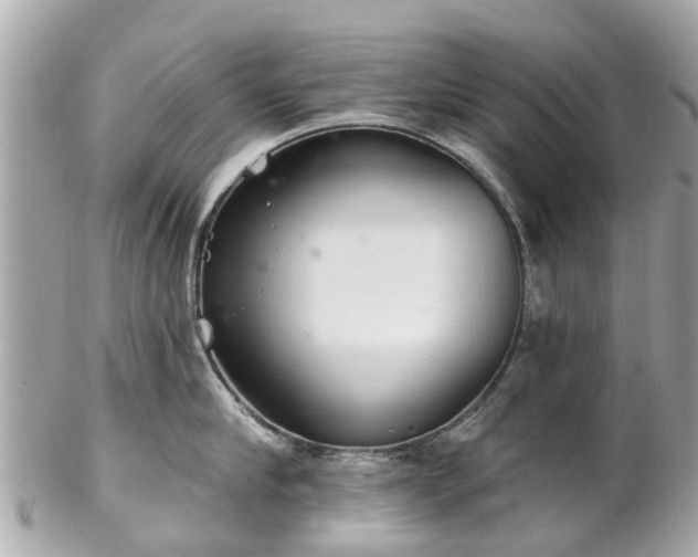 X0000102500910200808151517