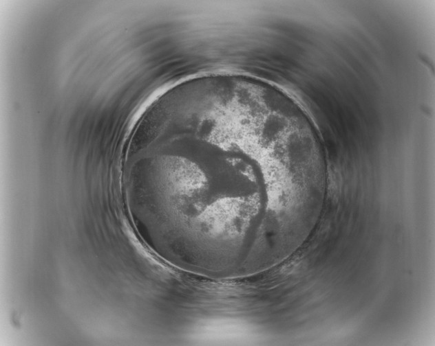 X0000102500911200808151517