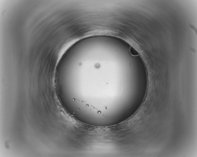 X0000102500912200808151517