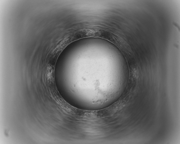 X0000102500914200808151517