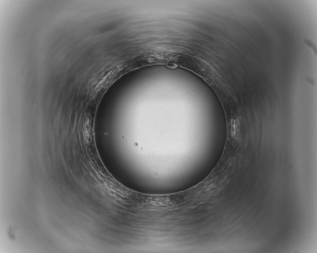 X0000102500915200808151517