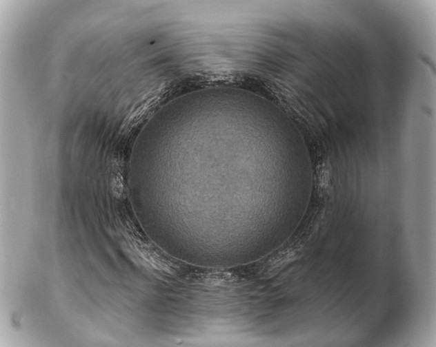 X0000102500916200808151517