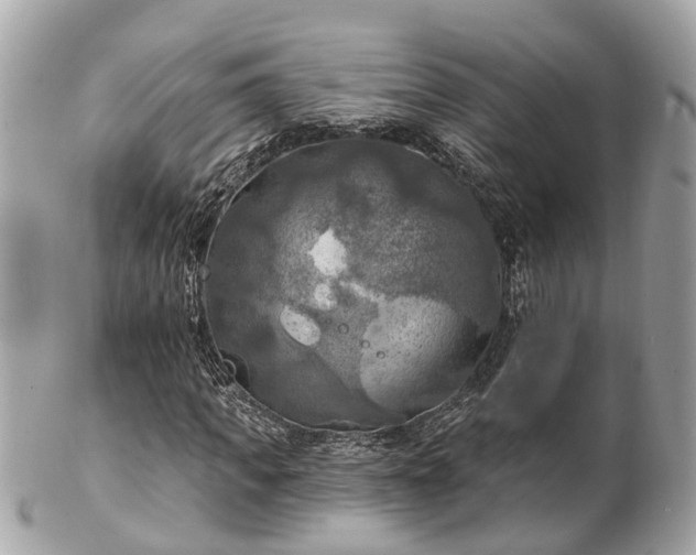 X0000102500917200808151517