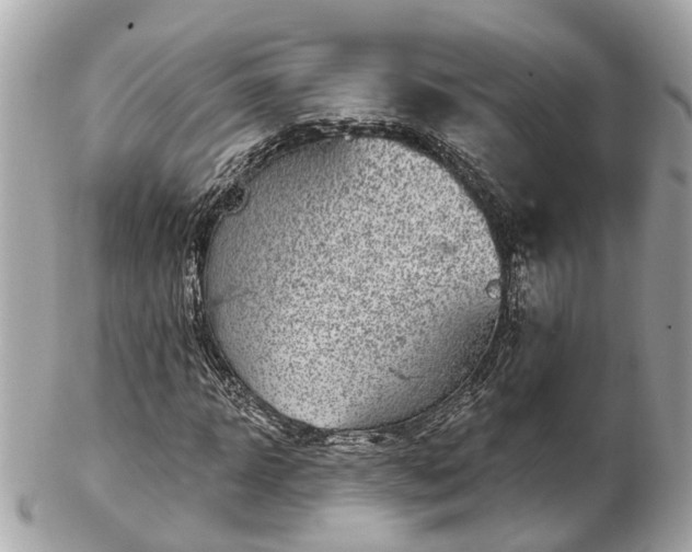 X0000102500918200808151517