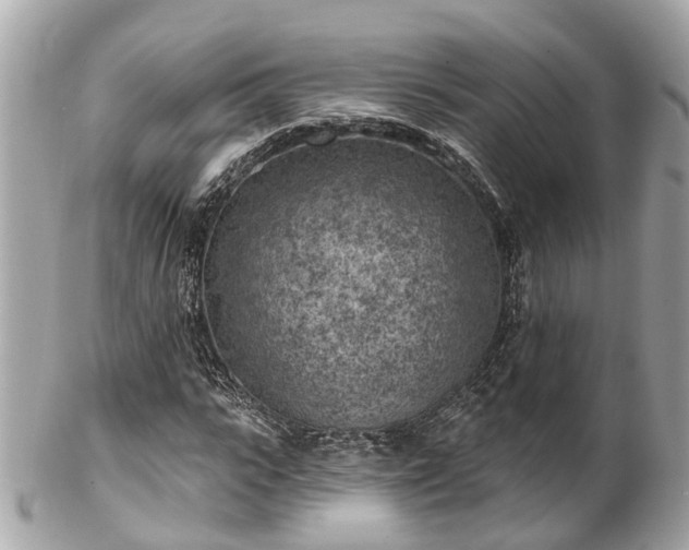 X0000102500919200808151517