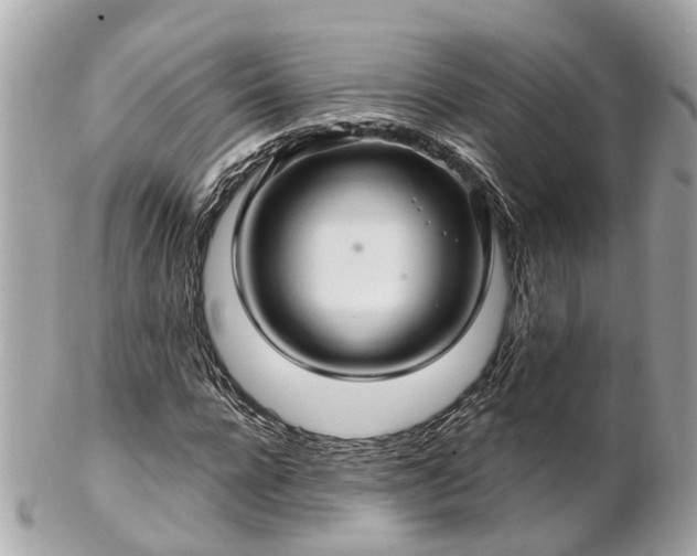 X0000102500920200808151517