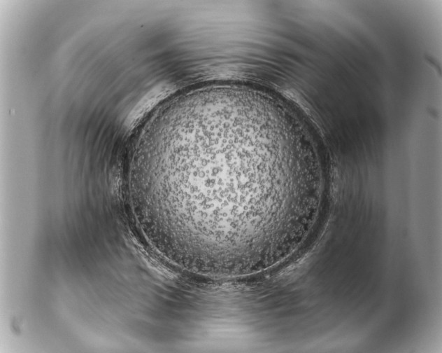 X0000102500922200808151517